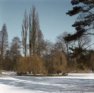 119342 Gezicht in het besneeuwde Wilhelminapark te Utrecht.